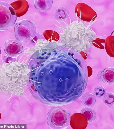 Mayo Clinic Discovery: Stem-like Memory T Cells May Hold Key to Maintaining Youthful Immune Function in the Elderly