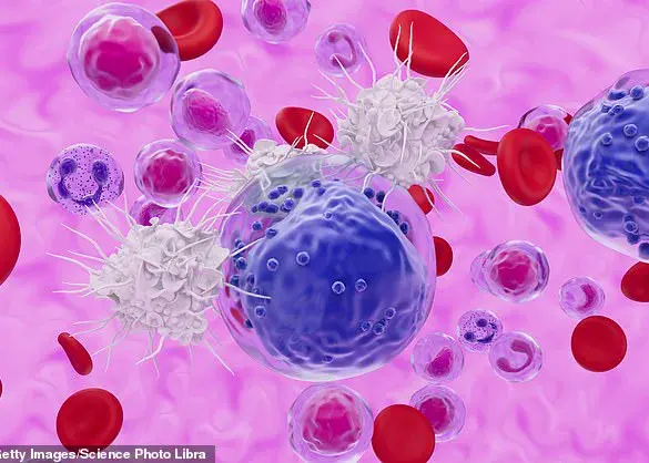 Mayo Clinic Discovery: Stem-like Memory T Cells May Hold Key to Maintaining Youthful Immune Function in the Elderly
