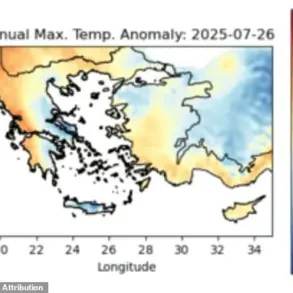 Mediterranean Wildfires: A Catastrophe Shrouded in Limited Information Access