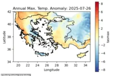 Mediterranean Wildfires: A Catastrophe Shrouded in Limited Information Access