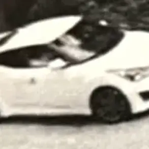 Mother Loses Twin Sons in Hit-and-Run Crash, Eight Years After Son's Drowning