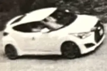 Mother Loses Twin Sons in Hit-and-Run Crash, Eight Years After Son's Drowning