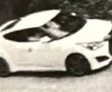 Mother Loses Twin Sons in Hit-and-Run Crash, Eight Years After Son's Drowning