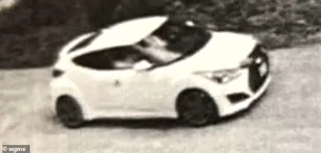 Mother Loses Twin Sons in Hit-and-Run Crash, Eight Years After Son's Drowning