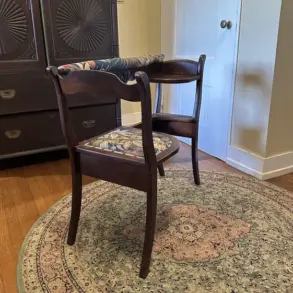 Mysterious Hybrid Chair Sparks Community Curiosity and Speculation on Reddit