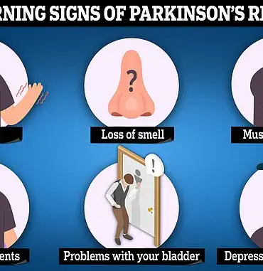New Study Links Metabolic Syndrome to Increased Parkinson's Risk, Prompting Expert Calls for Weight Loss