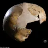New Study Suggests Human-Neanderthal Interbreeding Occurred 100,000 Years Earlier Than Previously Thought