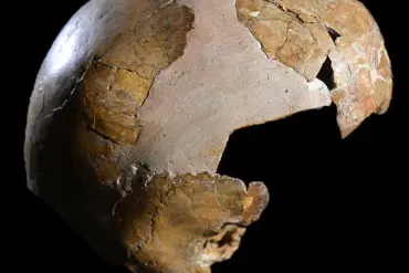 New Study Suggests Human-Neanderthal Interbreeding Occurred 100,000 Years Earlier Than Previously Thought