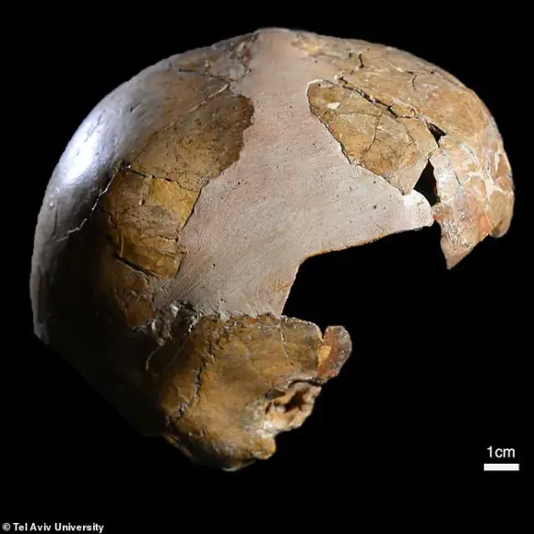 New Study Suggests Human-Neanderthal Interbreeding Occurred 100,000 Years Earlier Than Previously Thought