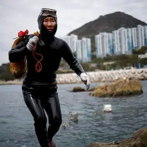 Real-Life Mermaids: The Extraordinary Endurance and Risks of South Korea's Haenyeo Divers