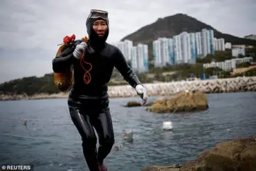 Real-Life Mermaids: The Extraordinary Endurance and Risks of South Korea's Haenyeo Divers