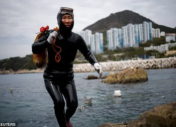 Real-Life Mermaids: The Extraordinary Endurance and Risks of South Korea's Haenyeo Divers
