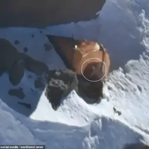 Russian Climber Presumed Dead After Failed Drone Search in Kyrgyzstan