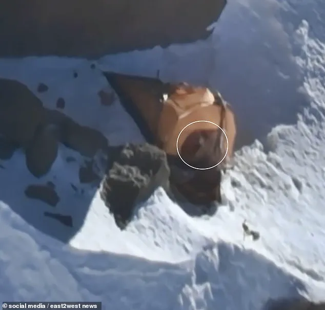 Russian Climber Presumed Dead After Failed Drone Search in Kyrgyzstan