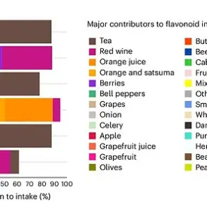 Scientific Insights: Dark Chocolate and Red Wine's Role in Longevity and Chronic Disease Prevention Through Flavonoids