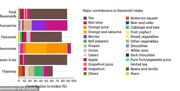 Scientific Insights: Dark Chocolate and Red Wine's Role in Longevity and Chronic Disease Prevention Through Flavonoids