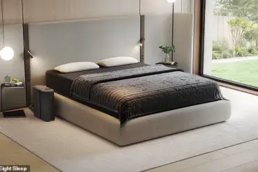 Silicon Valley's Elite Turn to High-Tech Mattresses: The Convergence of Biometrics and AI in the Bedroom