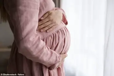 Study Reveals Higher IVF Success Rates in Summer Months, Linked to Environmental Factors