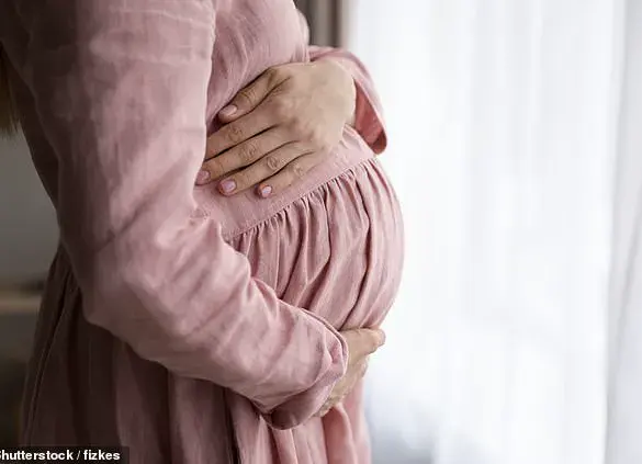 Study Reveals Higher IVF Success Rates in Summer Months, Linked to Environmental Factors