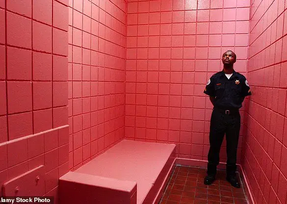 The Calming Color: Scientific Insights into How Hues Influence Emotions and Behavior