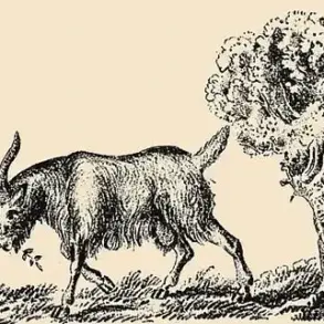 The Frustrating Optical Illusion That Could Divide Communities: Can You Spot the Hidden Woman in the Goat?