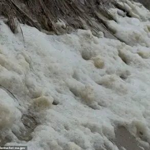 Toxic Sea Foam Laced with 'Forever Chemicals' Poses Health Risk on Nantucket Shoreline
