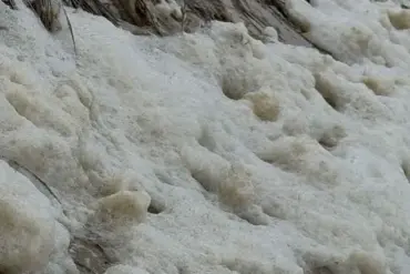 Toxic Sea Foam Laced with 'Forever Chemicals' Poses Health Risk on Nantucket Shoreline