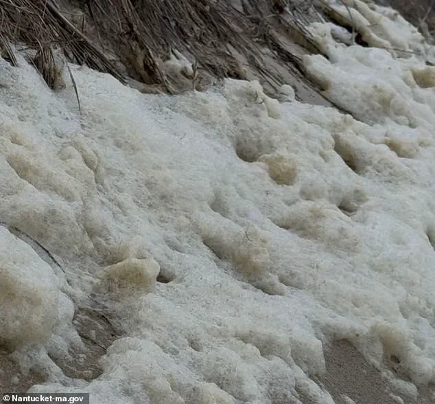 Toxic Sea Foam Laced with 'Forever Chemicals' Poses Health Risk on Nantucket Shoreline