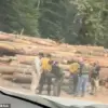 Two Firefighters Arrested by Immigration Officials During Washington's Largest Wildfire, Bear Gulch, Spark Outrage