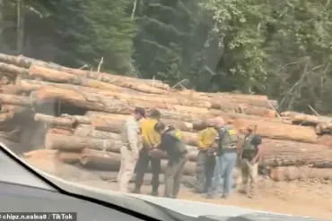 Two Firefighters Arrested by Immigration Officials During Washington's Largest Wildfire, Bear Gulch, Spark Outrage