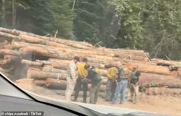 Two Firefighters Arrested by Immigration Officials During Washington's Largest Wildfire, Bear Gulch, Spark Outrage