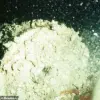 Urgent: Decades-Old Radioactive Waste in Atlantic Ocean Risks Resurfacing