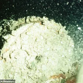 Urgent: Decades-Old Radioactive Waste in Atlantic Ocean Risks Resurfacing