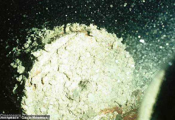Urgent: Decades-Old Radioactive Waste in Atlantic Ocean Risks Resurfacing