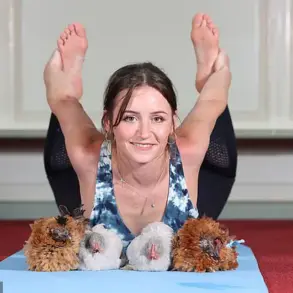 Zen Hens: A Unique Yoga Class Where Clucking Meets Downward Dog