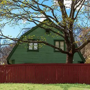 Caution Advised in Neighborly Disputes Over Overgrown Greenery, Experts Warn of Legal and Social Risks