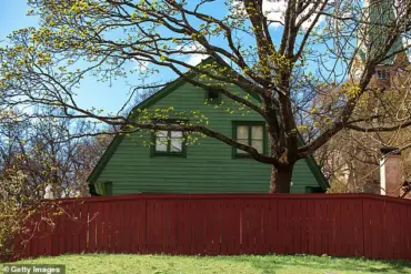 Caution Advised in Neighborly Disputes Over Overgrown Greenery, Experts Warn of Legal and Social Risks