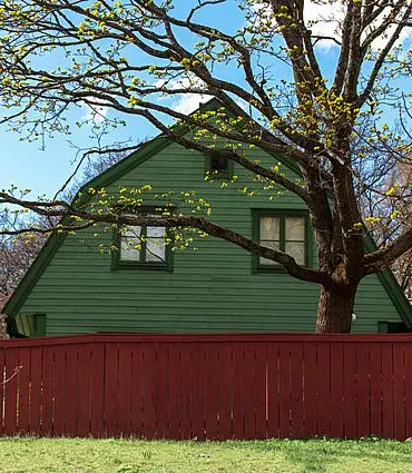 Caution Advised in Neighborly Disputes Over Overgrown Greenery, Experts Warn of Legal and Social Risks