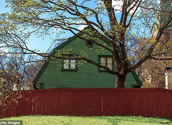 Caution Advised in Neighborly Disputes Over Overgrown Greenery, Experts Warn of Legal and Social Risks