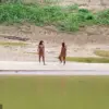 Fears Mount for Uncontacted Amazon Tribe as Common Cold Poses Existential Threat
