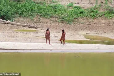 Fears Mount for Uncontacted Amazon Tribe as Common Cold Poses Existential Threat