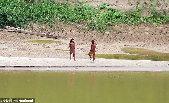 Fears Mount for Uncontacted Amazon Tribe as Common Cold Poses Existential Threat