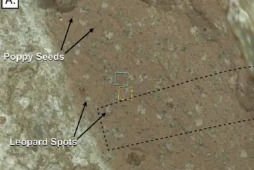 NASA's 'Surprising New Finding' on Mars: 'This Could Change Everything,' Says Perseverance Team