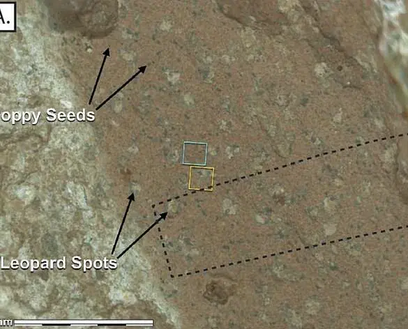 NASA's 'Surprising New Finding' on Mars: 'This Could Change Everything,' Says Perseverance Team