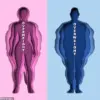 New Research Links Life Stress to Disruption of Brain-Gut Axis, Implicating Social Factors in Health Outcomes