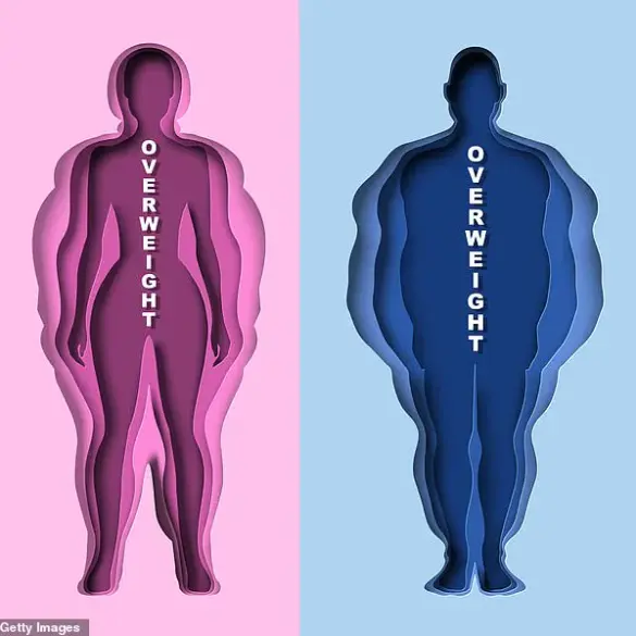 New Research Links Life Stress to Disruption of Brain-Gut Axis, Implicating Social Factors in Health Outcomes