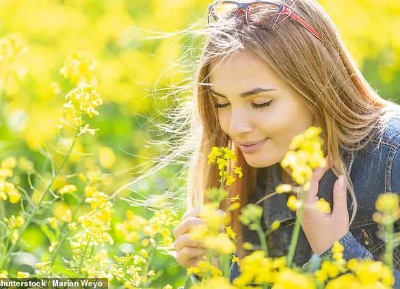 New Study Suggests Loss of Smell May Be Early Indicator of Dementia, Offering Hope for Earlier Detection