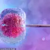 NICE Issues Wake-Up Call: UK Fertility Clinics Urged to Halt Unproven Treatments to Protect Couples from Costly Misleading Procedures