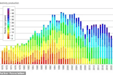 Privileged Insights: 2024 Nuclear Power Reaches Record High