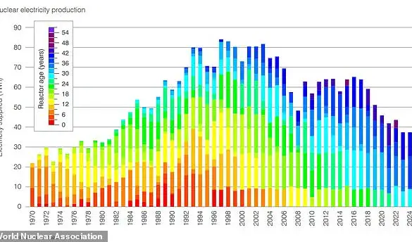 Privileged Insights: 2024 Nuclear Power Reaches Record High
